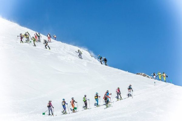 Где найти ссылку кракен