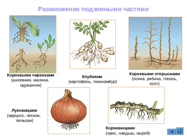 Не зачисляются деньги на кракен